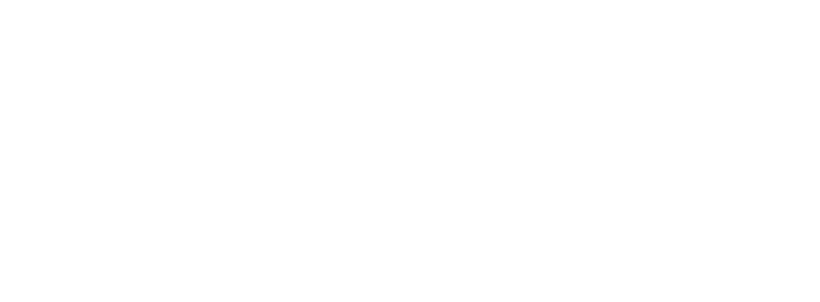 Fastnett